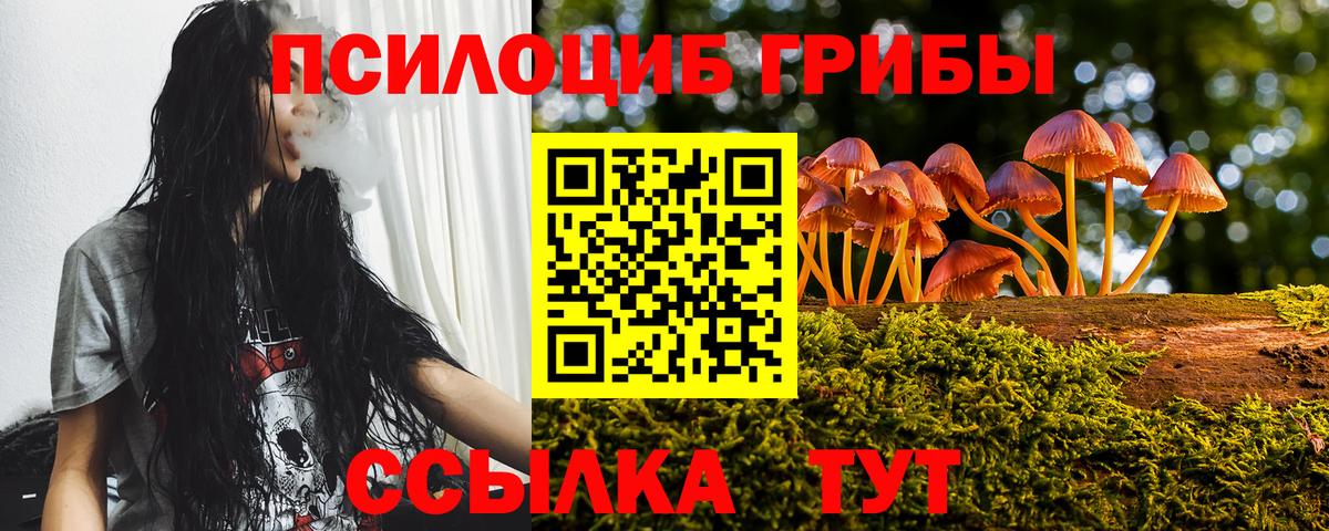 Галлюциногенные грибы прущие грибы  Галлюциногенные грибы Psilocybe  Черняховск  Вход с VPN 